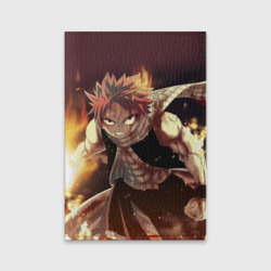Fairy tail Fairy tail