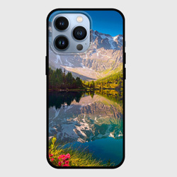 Чехол для iPhone 13 Pro Природа