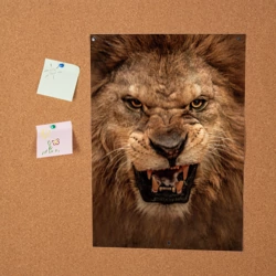 Постер Лев - фото 2