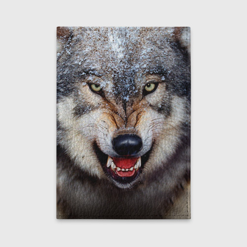 Обложка для автодокументов Волк, цвет бирюзовый