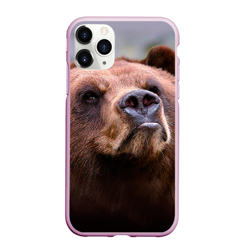 Чехол для iPhone 11 Pro Max матовый Медведь, цвет розовый