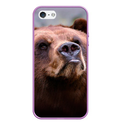 Чехол для iPhone 5/5S матовый Медведь
