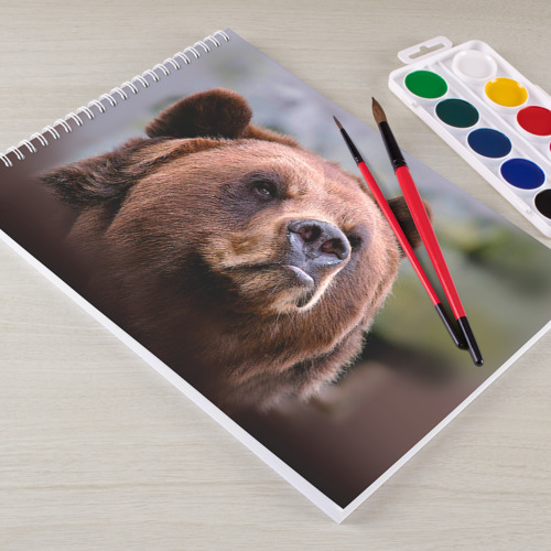 Альбом для рисования Медведь - фото 3