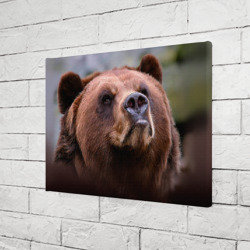 Холст прямоугольный Медведь - фото 2