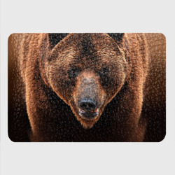 Картхолдер с принтом Медведь - фото 2