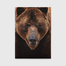 Обложка для автодокументов Медведь