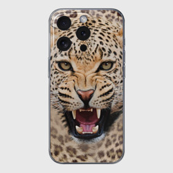 Чехол для iPhone 15 Pro Max силиконовый с защитой камеры Леопард