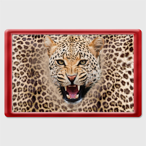 Магнит 45*70 Леопард, цвет красный