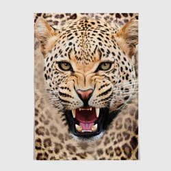 Постер Леопард
