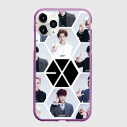 Чехол для iPhone 11 Pro матовый Exo
