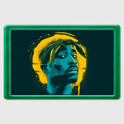 Магнит 45*70 2pac