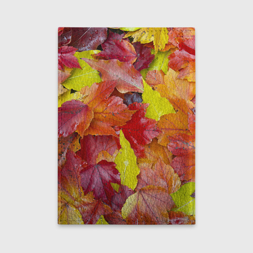 Обложка для автодокументов Осень, цвет фиолетовый - фото 2