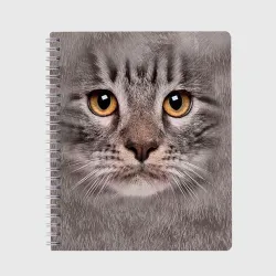 Тетрадь Котик