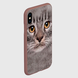 Чехол для iPhone XS Max матовый Котик - фото 2