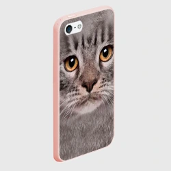 Чехол для iPhone 5/5S матовый Котик - фото 2