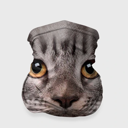 Бандана-труба 3D Котик