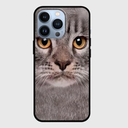 Чехол для iPhone 13 Pro Котик