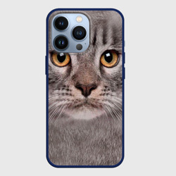 Чехол для iPhone 13 Pro Котик
