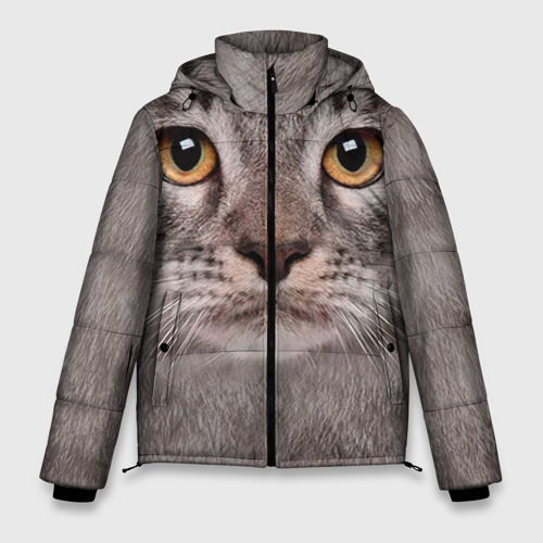 Мужская зимняя куртка 3D с принтом Котик, вид спереди #2