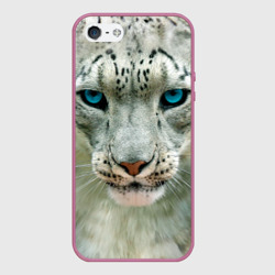 Чехол для iPhone 5/5S матовый Снежный барс