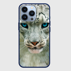 Чехол для iPhone 13 Pro Снежный барс