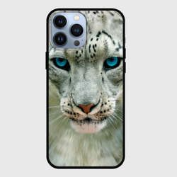 Чехол для iPhone 13 Pro Max Снежный барс