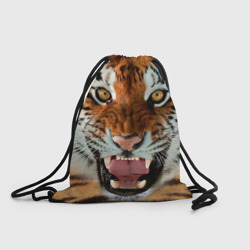 Рюкзак-мешок 3D Тигр
