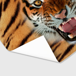 Бумага для упаковки 3D Тигр - фото 2
