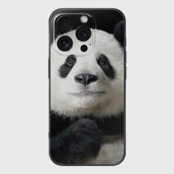 Чехол для iPhone 16 Pro силиконовый с защитой камеры Панда