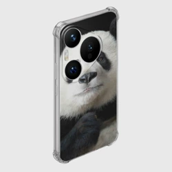 Чехол для Huawei Pura 70 Pro Панда - фото 2