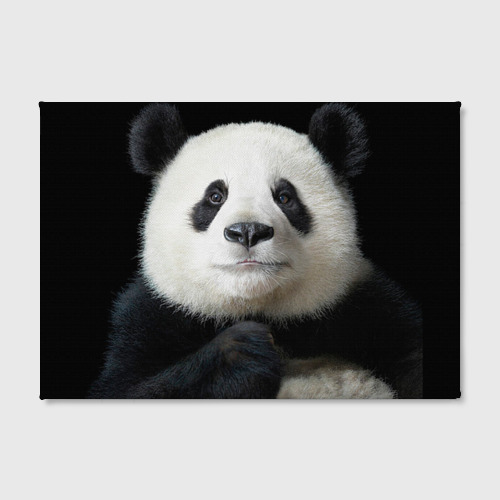 Холст прямоугольный Панда, цвет 3D печать - фото 2