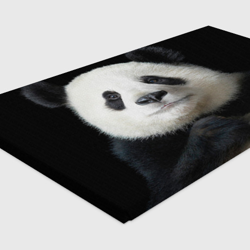Холст прямоугольный Панда, цвет 3D печать - фото 4
