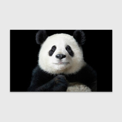 Бумага для упаковки 3D Панда