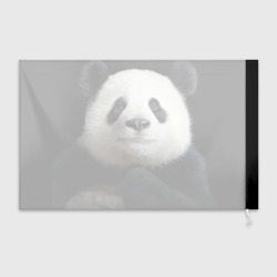 Флаг 3D Панда - фото 2