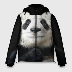 Мужская зимняя куртка 3D Панда