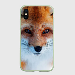 Чехол для iPhone XS Max матовый Лиса