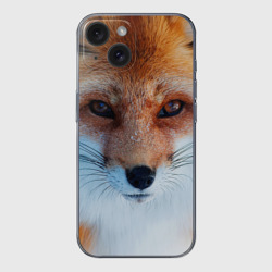 Чехол для iPhone 15 силиконовый с защитой камеры Лиса