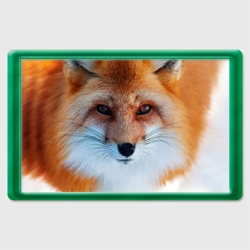 Магнит 45*70 Лиса