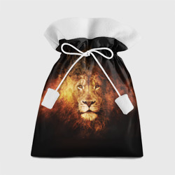 Подарочный 3D мешок Лев