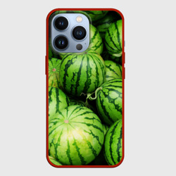 Чехол для iPhone 13 Pro Арбузы