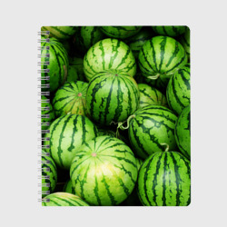 арбуз арбузы тетрадка тетрадочка
