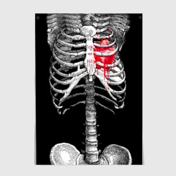 Постер Скелет с сердцем