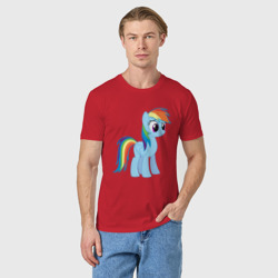 Мужская футболка хлопок Пони радуга - фото 2
