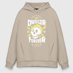 Мужское худи Oversize хлопок Dweller Forever