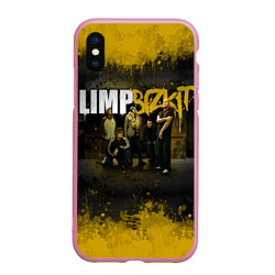 Чехол для iPhone XS Max матовый Limp Bizkit