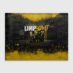 Обложка для студенческого билета Limp Bizkit