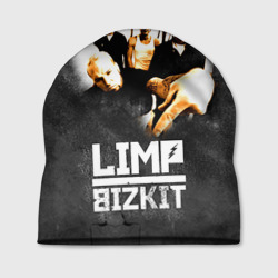 Шапка 3D Limp Bizkit