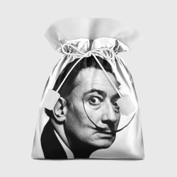 Подарочный 3D мешок Сальвадор Дали