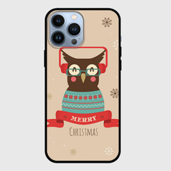 Чехол для iPhone 13 Pro Max Сова в наушниках