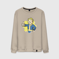 Мужской свитшот хлопок Vault Boy